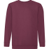 Podgląd modelu Bluza z CLASSIC SWEAT F37